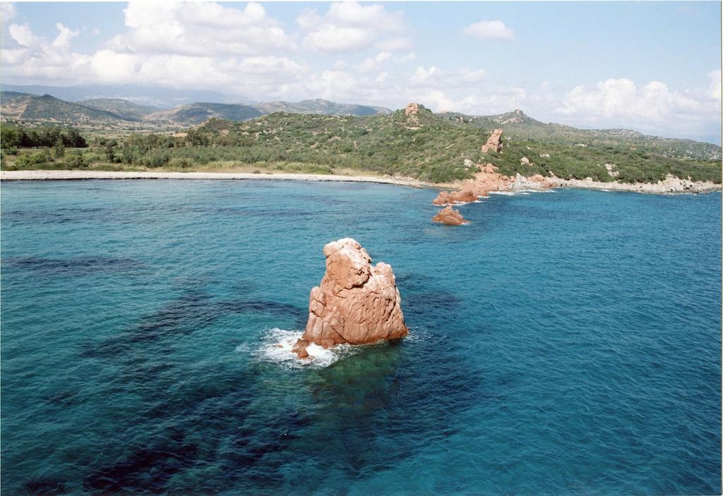 La Pavoncella
